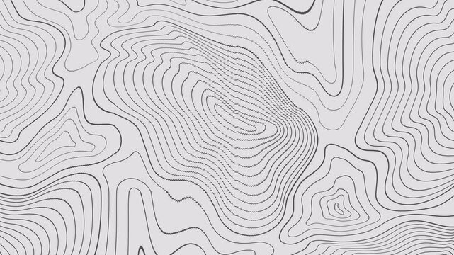 seamless texture of wood texture