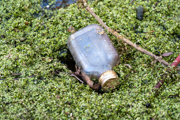 A bottle can be seen lodged in green water, surrounded by algae and natural elements, reflecting an...