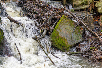 small waterfall in coniferous deciduous forest. water flowing through mixed forest. turbulent water...