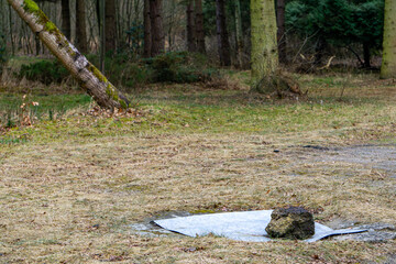 a well in the forest secured with a piece of sheet metal and a stone.