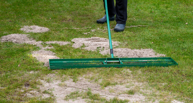 Man uses a lawn rake to put a layer of sand on the lawn. The so called topdressing levels out uneven parts and helps to ventilate the lawn.