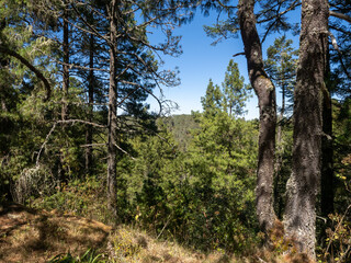 Obraz premium Mexiko