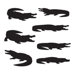 Crocodile Group Silhouette Vector on White Background