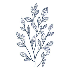 Elegant Floral Branches with Soft Blue Background