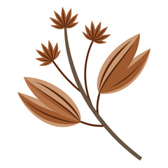 Obraz premium illustration-of-caraway-seeds-isolated-on-white-ba.eps