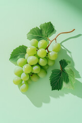 A bunch of fresh green grapes with leaves on a light green background with soft shadows