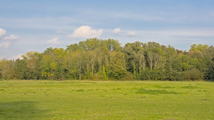 Sunny autumn marsh landscape in Bourgoyen nature reserve, Ghent, Flanders, Belgium