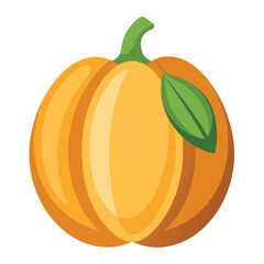 illustration-of-pumpkin-seeds-isolated-on-white-ba.eps