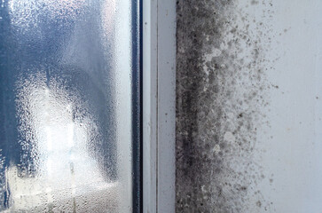 Hazardous black mold on damp wall by window frame indoors