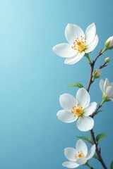 Obraz premium Delicate white blossoms, seamlessly repeating on a calming blue backdrop , summer, nature, surface pattern