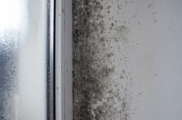 Toxic mold patches on damp wall near window frame indoors