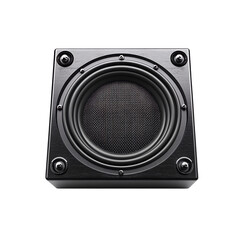 Obraz premium a black subwoofer isolated on white.