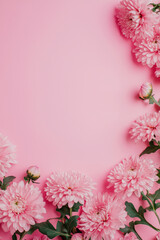 Vertical Chrysanthemums pink background. Festive holiday greeting card for Birthday, Woman or Mothers Day.