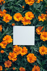 Vertical Marigolds springtime scenery, nature background. Festive holiday greeting card for Birthday, Woman or Mothers Day.