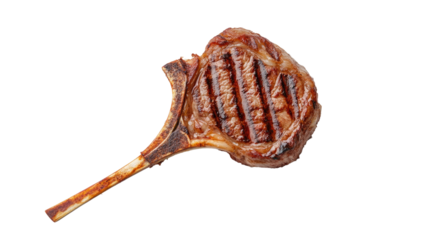A piece of meat is grilled and has a bone sticking out of it