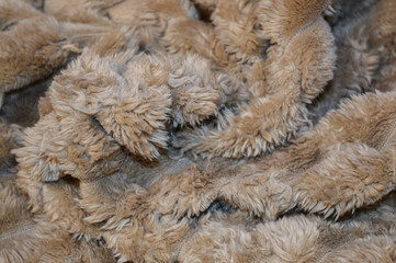 plush textured fabric in a warm beige or camel color material ultra-soft raised ribbed pattern cozy...