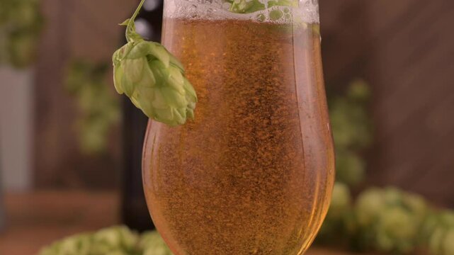 Pouring golden beer from a can into a glass, creating a thick foamy head. Bubbles rise in the refreshing craft beer, with fresh hops in the background. 