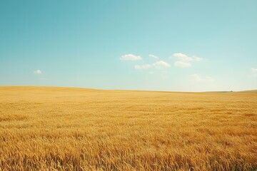 Obraz premium Golden wheat field under a clear blue sky during harvest season. Generative AI