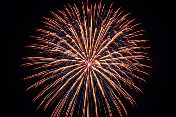 fireworks in the sky with a black background