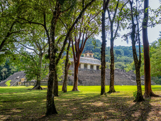 Fototapeta premium Palenque
