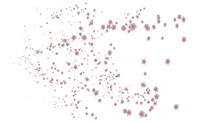湧き上がってくる美しい色の花の爆発