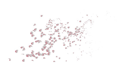 湧き上がってくる美しい色の花の爆発