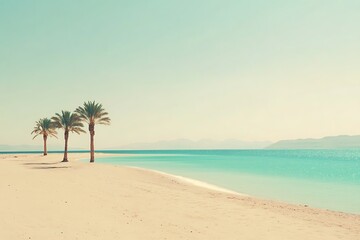 Obraz premium Serene Beach Scene with Palm Trees