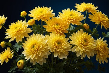 Obraz premium yellow flowers in a vase on a dark blue background
