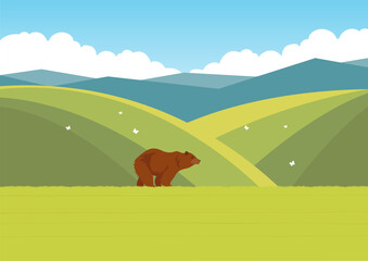 Aesthetic summer field and grizzly bear. Wildlife animals in nature. Grizzly bear walking in the spring