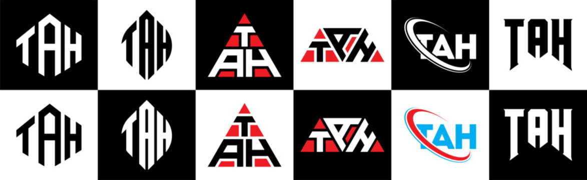 TAH letter logo design in six style. TAH polygon, circle, triangle, hexagon, flat and simple style with black and white color variation letter logo set in one artboard. TAH minimalist and classic logo