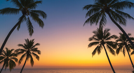 ヤシの木、モデル、背景