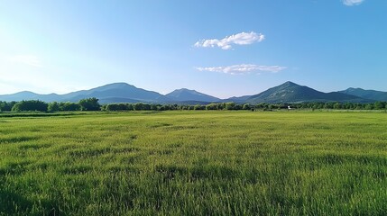 Fototapeta premium Serene Austrian Landscape with Vibrant Green Meadow and Majestic Mountains Under Clear Blue Sky, Ideal Sunny Summer Day Scenery