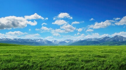Obraz premium Serene Austrian Landscape with Vibrant Green Meadow and Majestic Mountains Under Clear Blue Sky, Ideal Sunny Summer Day Scenery