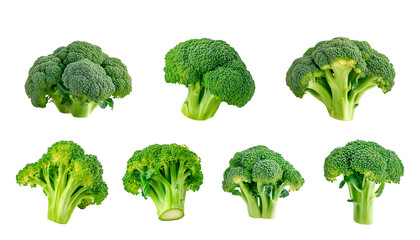 Set of fresh green broccoli. Isolated on transparent background. 