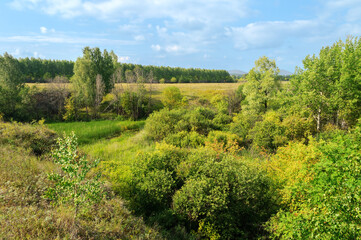 Naklejka premium Summer forest landscape - the Ustinovskii Canyon in Southern Urals, Russia, summer view