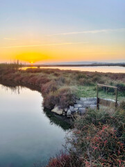 Golden sunset over the Maguelone ponds, France. Tranquil water reflections, natural vegetation, and a serene Mediterranean landscape. Peaceful nature scene with warm light and soft colors