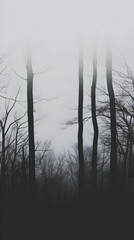 Obraz premium Misty Forest Illustration - Dark Trees, Foggy Landscape