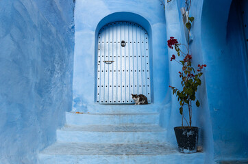 Chefchaouen or Chaouen. The blue city in Morocco. Famous for its blue-washed buildings