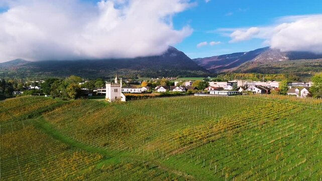 Golden vineyards in Switzerland during spring with a small castle and mountains in the background. A scenic landscape capturing the beauty of winemaking and nature. High quality FullHD footage