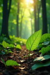 Intricate leaf veins, sun-dappled forest floor, foliage, nature, wall