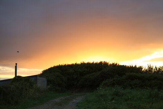 a meadow in Brittany at sunset, countryside