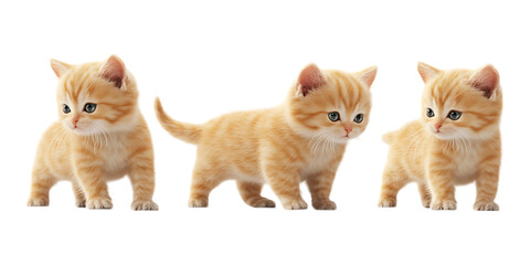 Set of Realistic 3D Baby Cats in Different Styles Arranged in One Line PNG Against Transparent Background for Pet Branding, Cute Illustrations, or Animal-Themed Designs