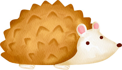 watercolor porcupine