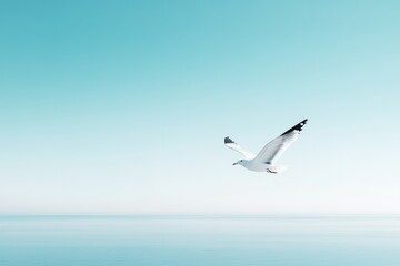 Obraz premium lone seagull soaring across vast cloudless sky with ample copy space for design showcase stillness and tranquility