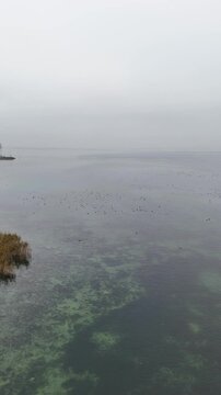 Stunning drone footage capturing the tranquil beauty of a lake with crystal-clear water and a rocky shoreline surrounded by autumn foliage. Perfect for use in nature documentaries, travel content