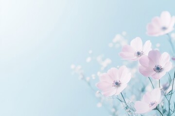 close-up of delicate spring flowers in bloom with soft focus and pastel colors ample copy space for messages