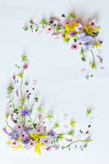 wild spring flowers on white paper background