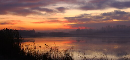 Obraz premium A magical nurise over a tranquil lake. soft rays of morning sunlight pierce through a gentle mist hovering above the water's surface, creating a romantic and serene atmosphere. 