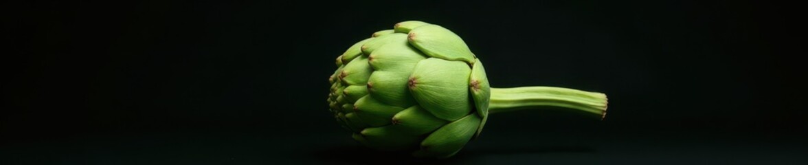 Intact green artichoke, vibrant detail Black backdrop , sharp, detail