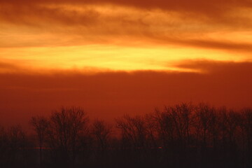 A magical nurise over a tranquil lake. soft rays of morning sunlight pierce through a gentle mist hovering above the water's  surface, creating a romantic and serene atmosphere. 
